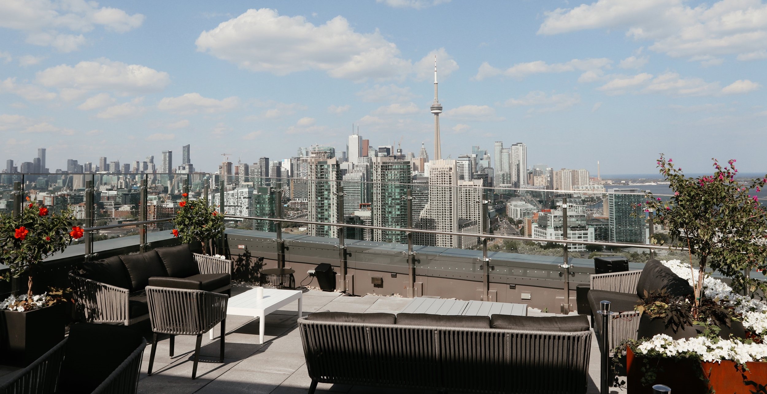 The Best Rooftop Bars in Toronto for Scenic Delights